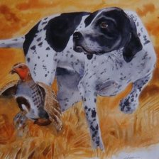 Схема вышивки «cão»