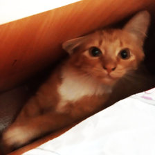 Схема вышивки «Я здесь»