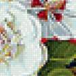 Предпросмотр схемы вышивки «Натюрморт 2» (№2197249)