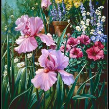 садовая фантазия