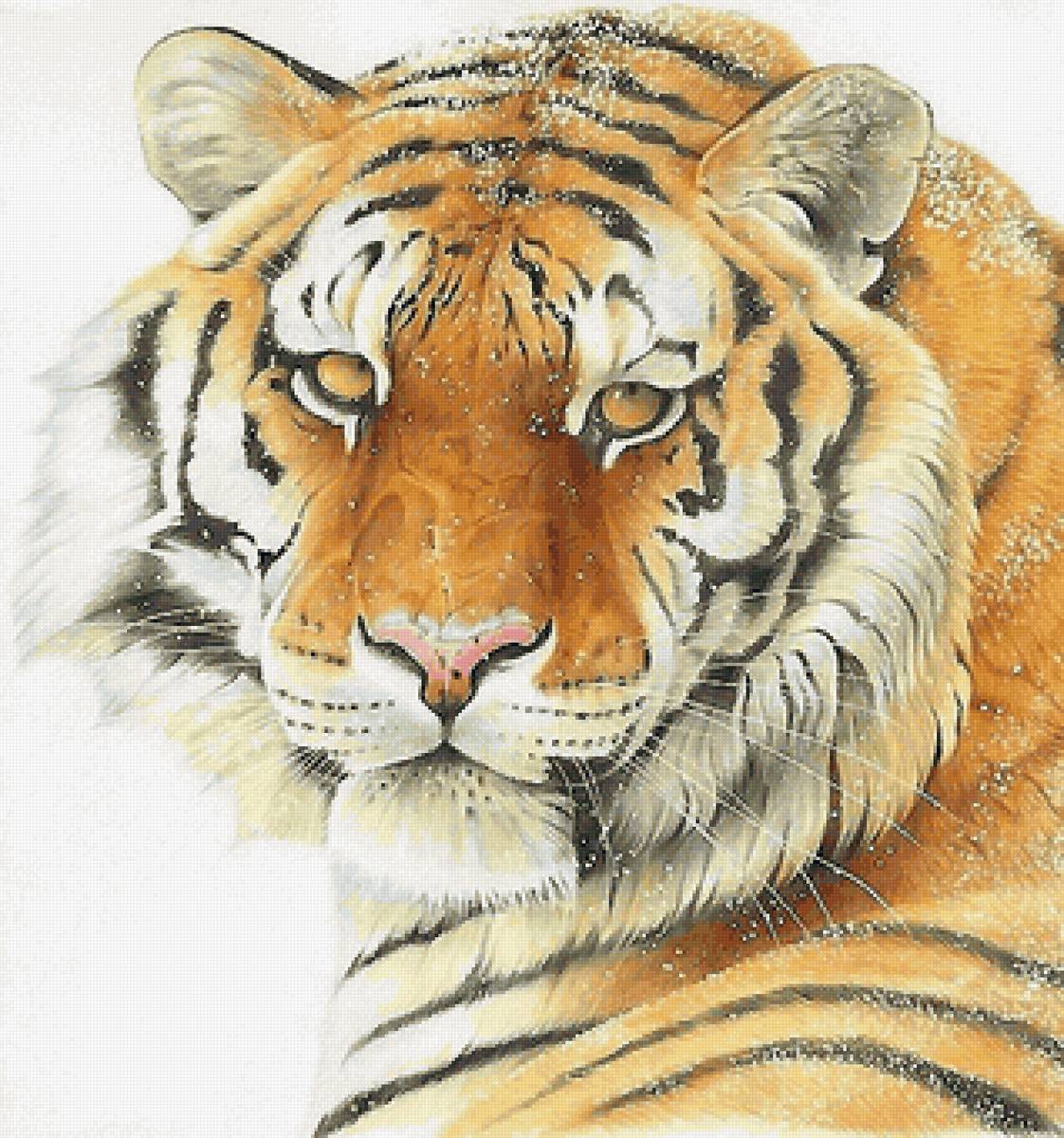 тигр - предпросмотр