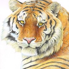 Схема вышивки «тигр»