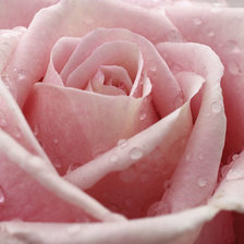 Схема вышивки «№2198023»