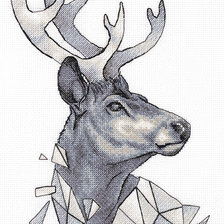 Благородный олень