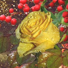 Схема вышивки «№2198313»