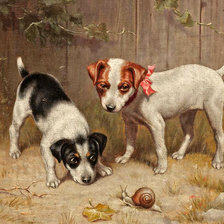 Схема вышивки «Мы ее или она нас?»