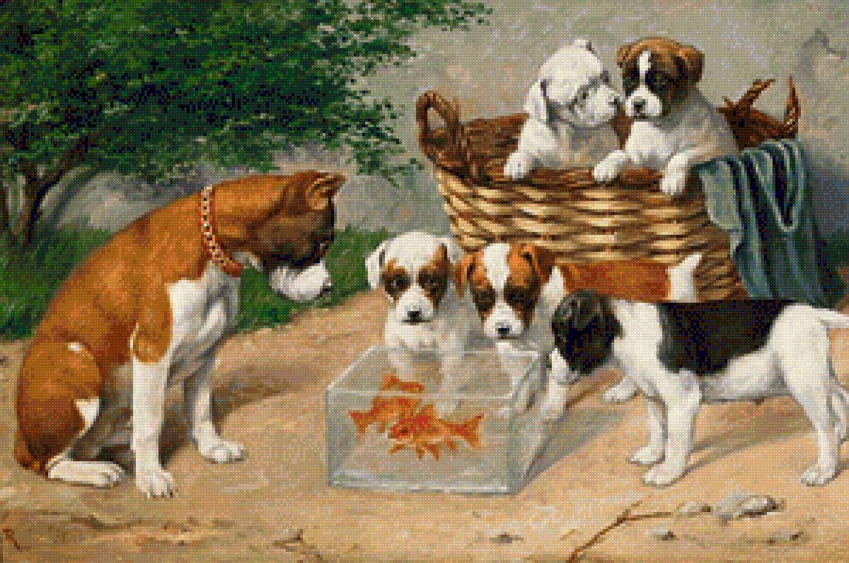 Бульдоги и рыбки - художник-анималист, карл райхерт - предпросмотр