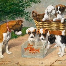 Схема вышивки «Бульдоги и рыбки»