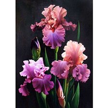 Схема вышивки «ИРИСЫ»
