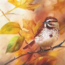 Схема вышивки «птаха»