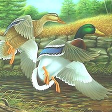 Схема вышивки «утки»