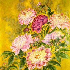 Схема вышивки «Пионы»