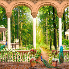 Схема вышивки «Веранда с павлинами»