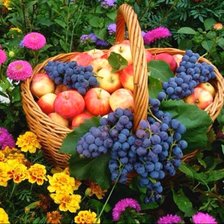 Схема вышивки «№2199136»