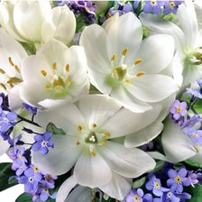 Схема вышивки «№2199147»