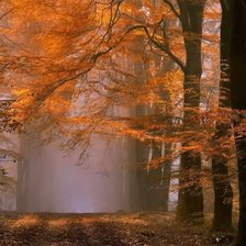 Схема вышивки «№2199173»