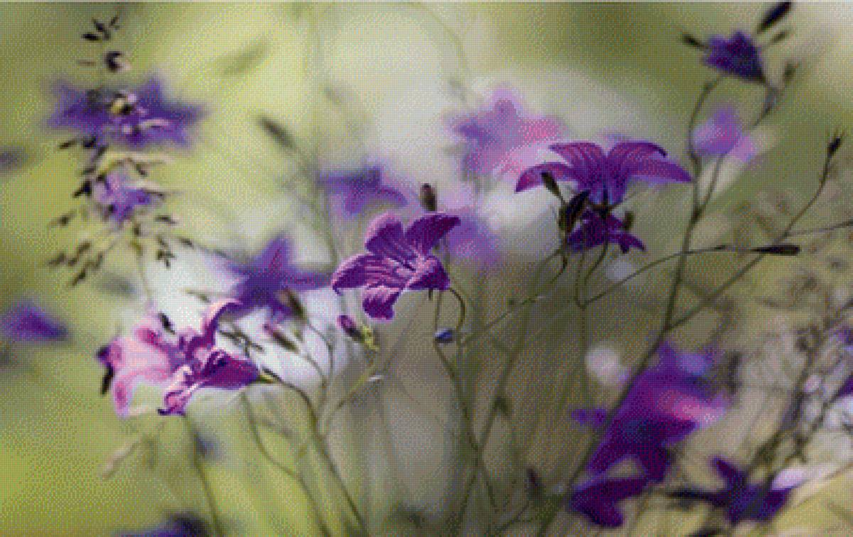 №2199186 - предпросмотр