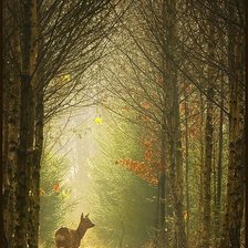 Схема вышивки «№2199189»