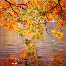 Схема вышивки «№2199192»