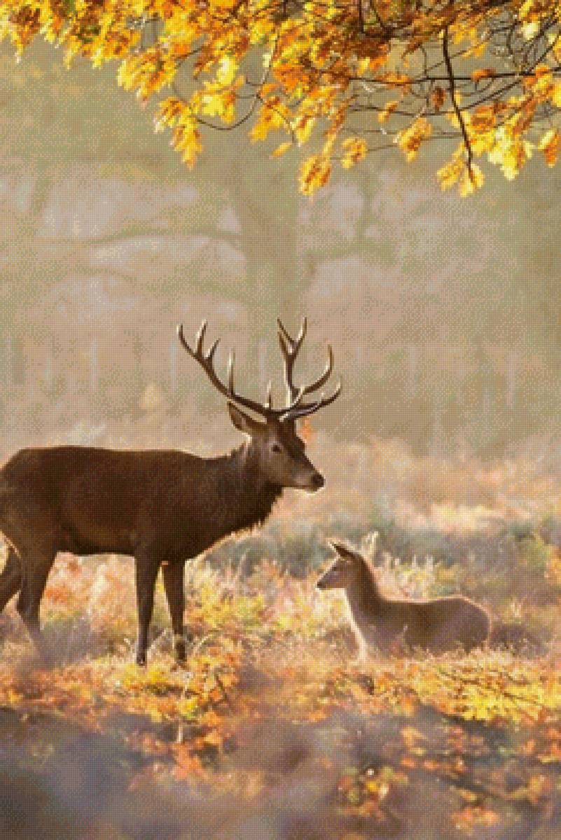 №2199194 - предпросмотр