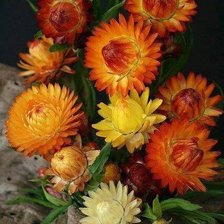 Схема вышивки «№2199197»