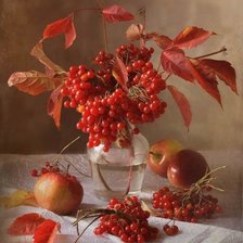 Схема вышивки «№2199199»