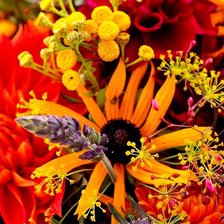 Схема вышивки «№2199204»