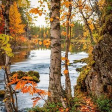 Схема вышивки «№2199208»