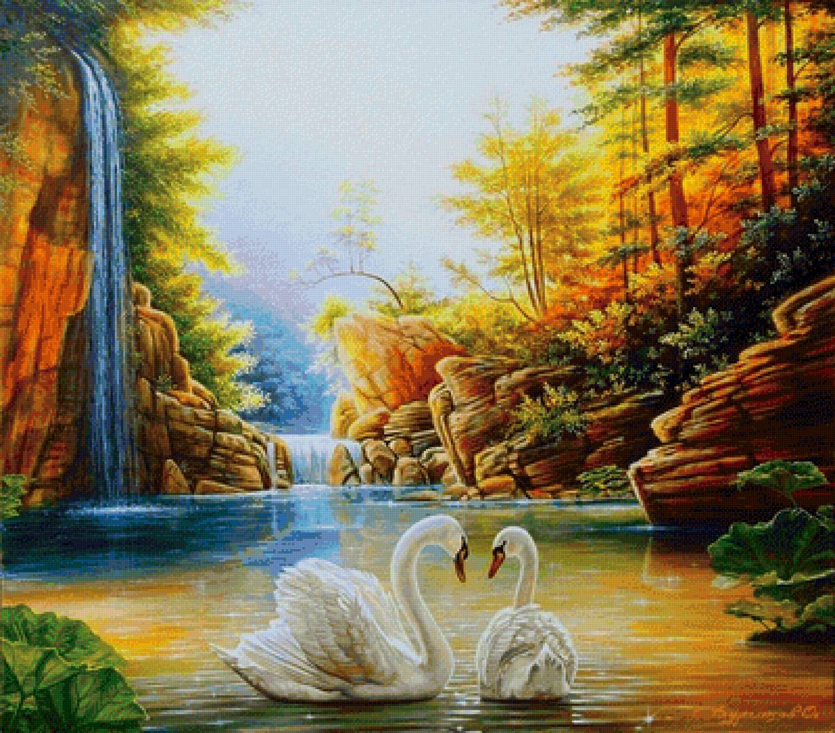 Cisnes - animales - предпросмотр