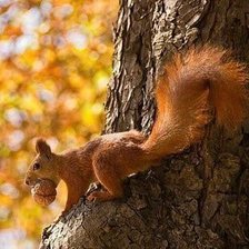 Схема вышивки «№2199608»