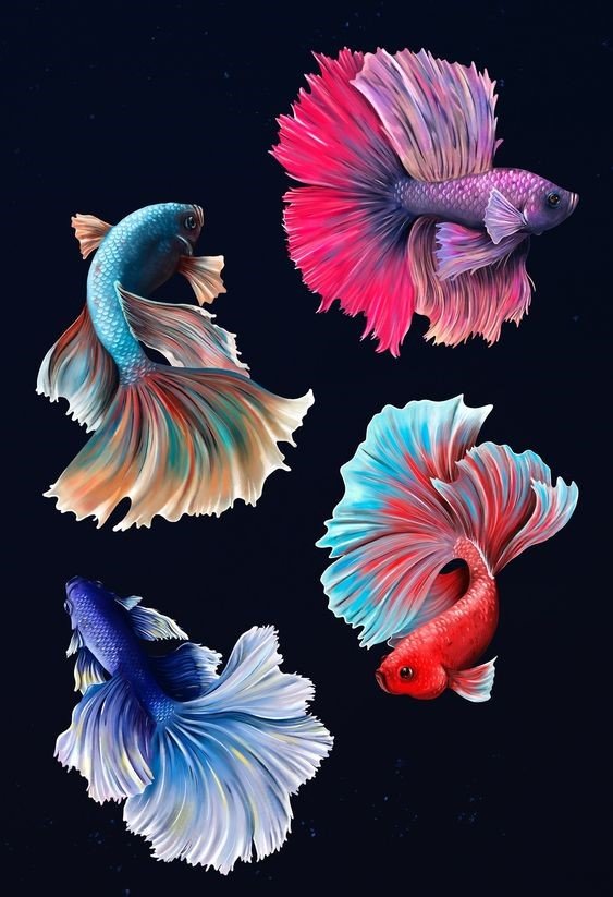 Четыре рыбки - рыбы - оригинал