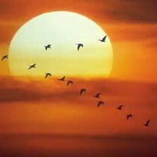 Схема вышивки «№2199847»