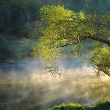 Схема вышивки «№2199849»