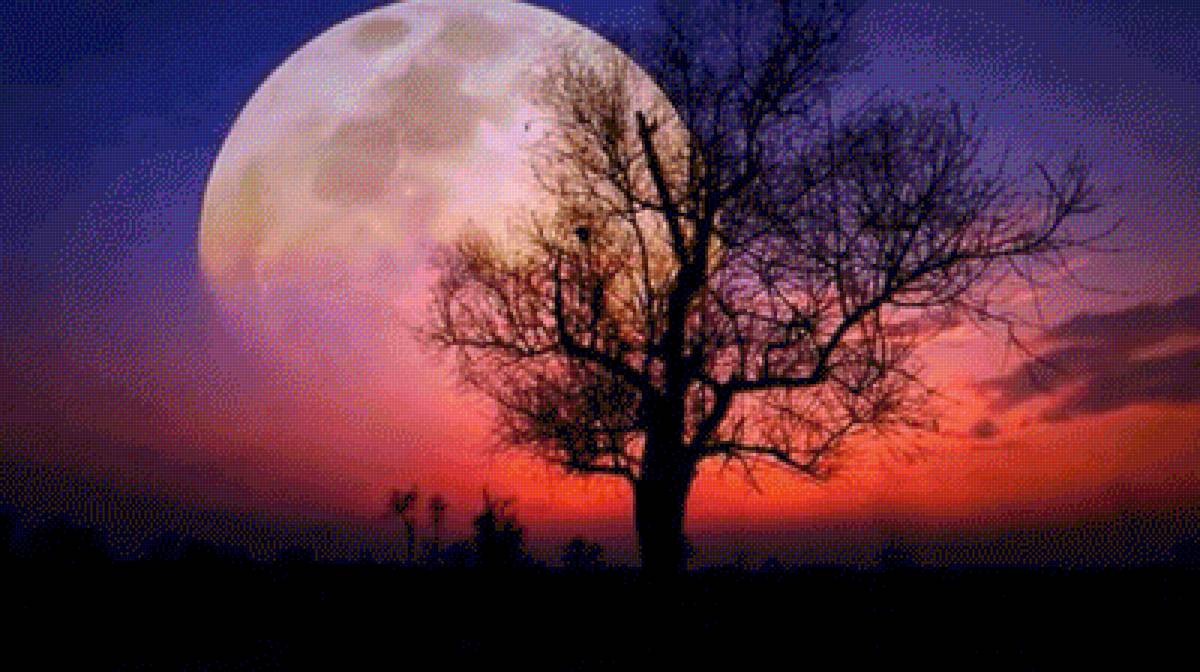 №2199856 - предпросмотр