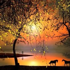 Схема вышивки «№2199860»