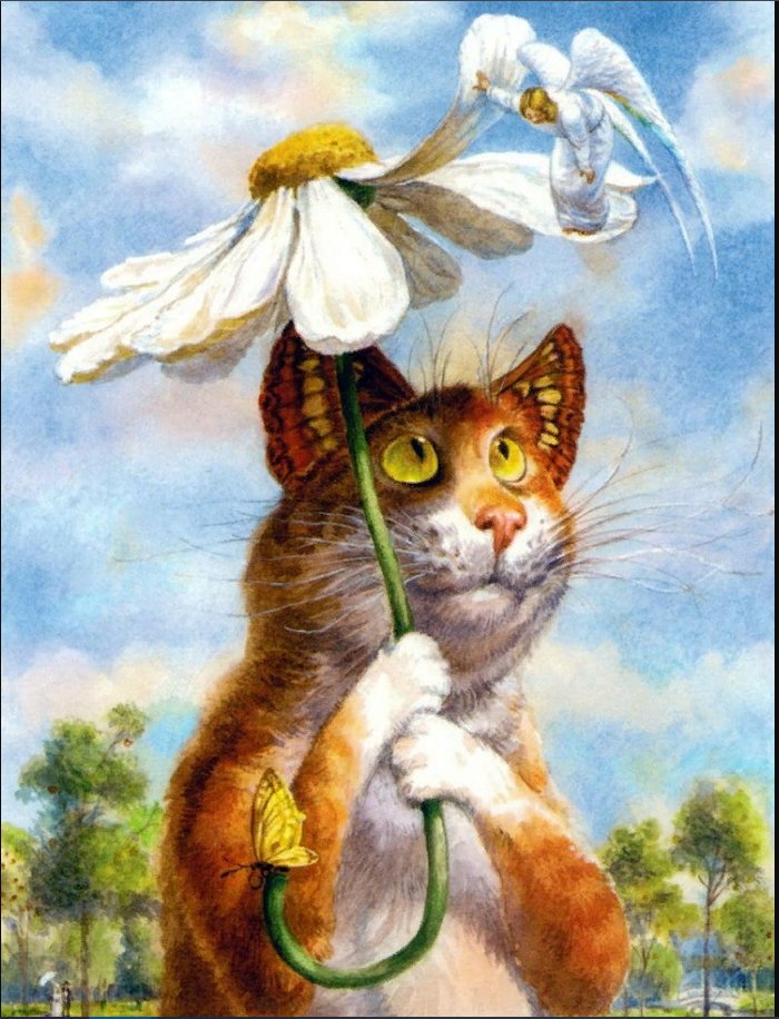 кот и ангел - кот, забавные коты, ангел - оригинал