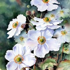 Схема вышивки «piękne kwiaty»