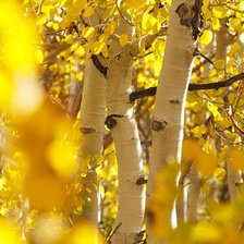 Схема вышивки «№2200307»