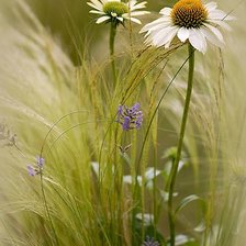 Схема вышивки «№2200318»