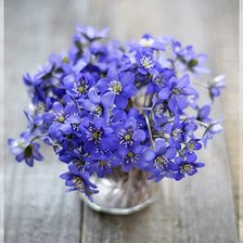 Схема вышивки «№2200374»