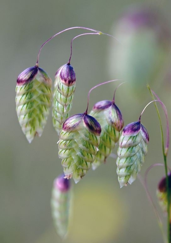 №2200391 - оригинал