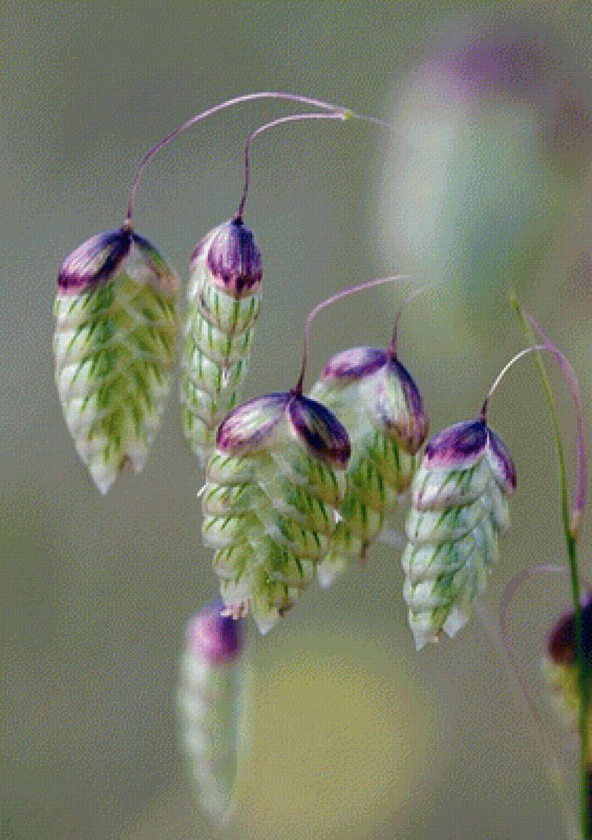 №2200391 - предпросмотр