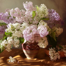 Схема вышивки «№2201048»