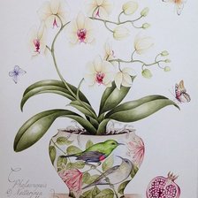 Схема вышивки «№2201058»