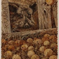 Халява. Александр Юрков