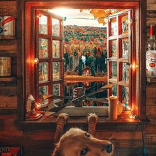 Схема вышивки «Собака у окна»