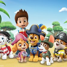 Щенки пираты