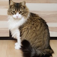 Схема вышивки «Моника 2»