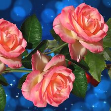 Схема вышивки «№2202116»