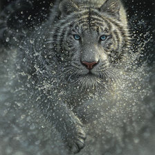 Схема вышивки «стремительный»